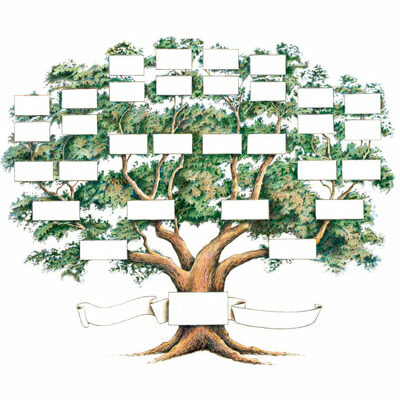 curso árbol genealógico